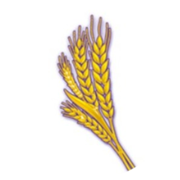 WHEAT Token